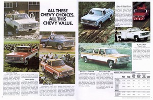 1976 Chevy Pickups (Cdn)-02-03.jpg